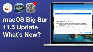 macOS Big Sur 11.5 Update [Everything New in 5 min!] All the New Features and Changes 4K