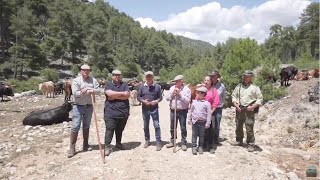 Trashumancia, Cazorla, Segura y las Villas, Jaén