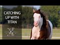 Catching up with titan and silver spurs equine