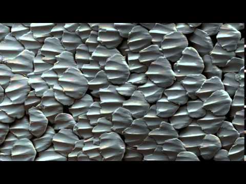 TED - Louie Schwartzberg 2014