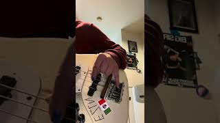 IMG 1728