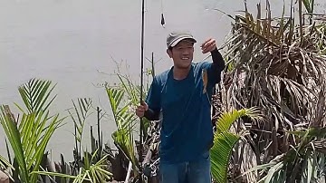 Duy Cá Ngát/chia sẽ điểm câu cá sông soài rạp.