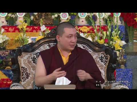 RUSSIAN 3/12/18 Karmapa  Bodhisattva's Way of Life  'Vigilance' Chp 5  verses 1 5