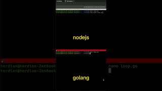 NodeJS vs Golang. Simple Comparison. screenshot 4