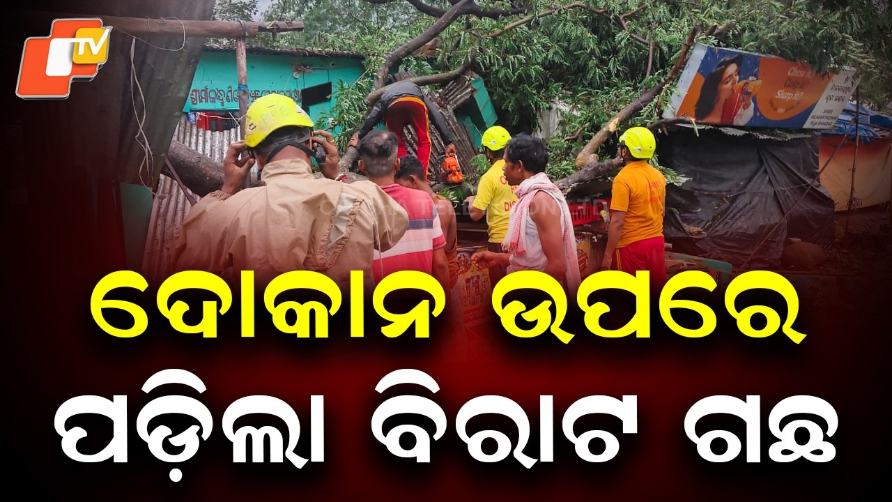 Kalbaisakhi Storm Topples Tree on Shop in Ganjam, Goods Destroyed