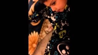 Download Lagu gabe and miss G MP3