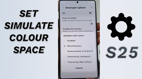 🌈 Simulate Colour Space: Monochromacy, Protanomaly & More! (Galaxy S25/S25+/Ultra) 🧠📲