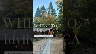 Road Trip To Idyllwild, Ca