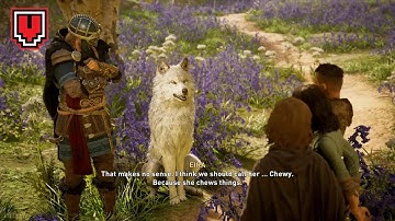 AC VALHALLA - A Little Problem - Man