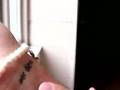 Tattoo That Must Have Hurt with Say Anything's Max Bemis