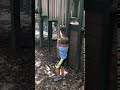 IMG 2440