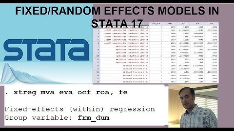 Fixed and Random (Panel Effects) Model in STATA 17 (Firm