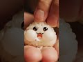 Ultra Realistic Kawaii AI Food 😍 | Macro Cinematic #Shorts#AIFoodShortsShorts#AIVideo #toys #funny
