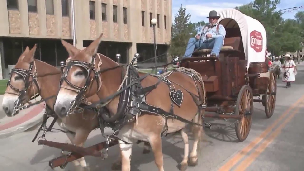 Cheyenne Frontier Days parade all about the horse-drawn carriage