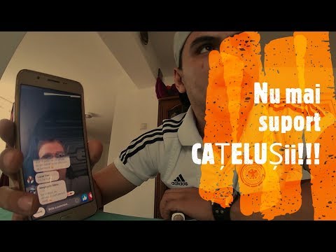 Nu mai suport CĂȚELUȘII!!! Buze mari și multe pupături... dubă vlog #7