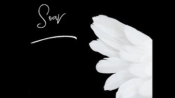 Seasoned by Fire - Soar (Official Music Video)