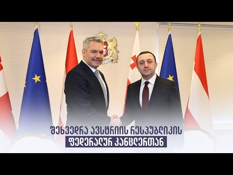 შეხვედრა ავსტრიის რესპუბლიკის ფედერალურ კანცლერთან