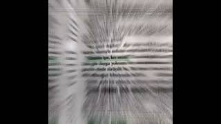 İnstagram Kısa Video Serisi Kesi̇nli̇kle İzle