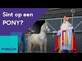 SINT, LAAT ONS JE HELPEN!🎁