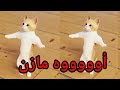 اووووه مازن ميزو زونا سطلانة السعودية الامارات تركيا قطر المغرب البحرين دبي العراق الرياض جده اووووه مازن ميزو زونا سطلانة السعودية الامارات تركيا قطر المغرب البحرين دبي العراق الرياض جده