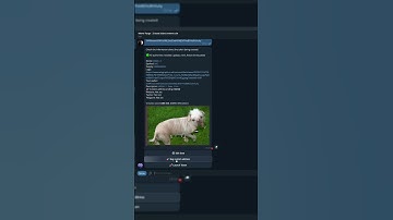 🤩Custom Meme Coin in 30 Seconds via Telegram Bot