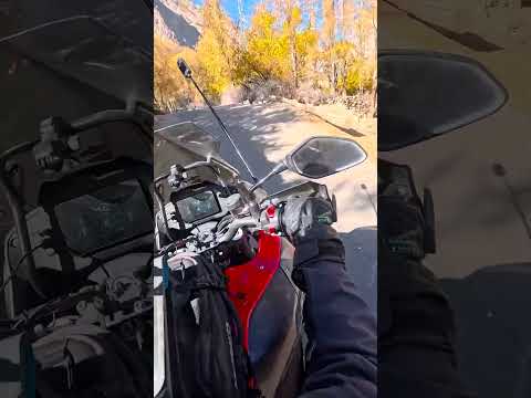 Machulu Is Autumn King