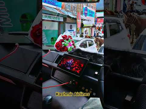 #viral #reels #kashmirtrip  #instareels #minivlog #trending #kashmirairlines08 #vibe #shorts #travel
