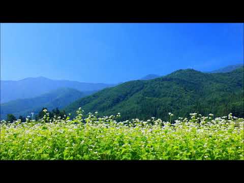 風のとおり道・松本憲治編曲ソプラノ（MIDI）