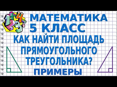 КАК НАЙТИ ПЛОЩАДЬ ПРЯМОУГОЛЬНОГО ТРЕУГОЛЬНИКА? Примеры | МАТЕМАТИКА 5 класс