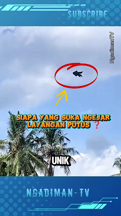 SIAPA DISINI YANG SUKA NGEJAR LAYANGAN PUTUS 🤣❓ #shortsvideo #viralvideo #trending #layangan