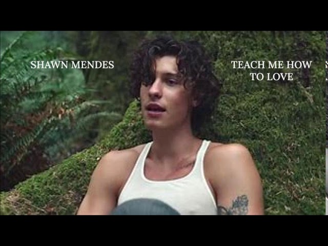 Shawn Mendes - Teach Me How To Love class=