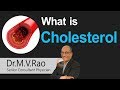 What is cholesterol  dr mvrao  senior consultant physician  hi9