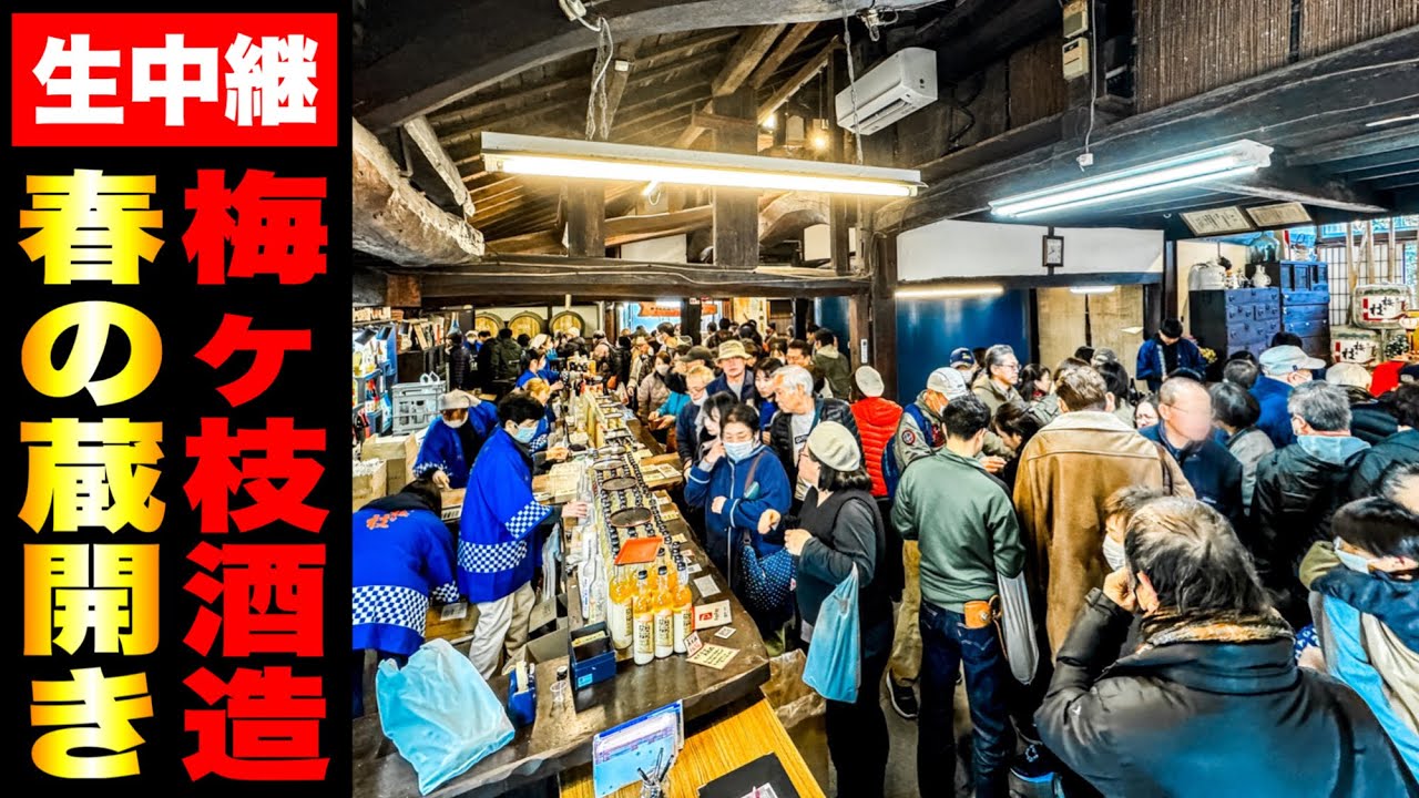【梅ヶ枝酒造】春の蔵開き！初日の会場から生中継！// 梅ヶ枝酒造（佐世保市 城間町）