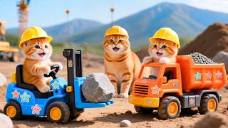🐾 Mama Cat Trims Fur on the Farm and Makes Tiger Hat For Kittens At Home🐾🎩🐯