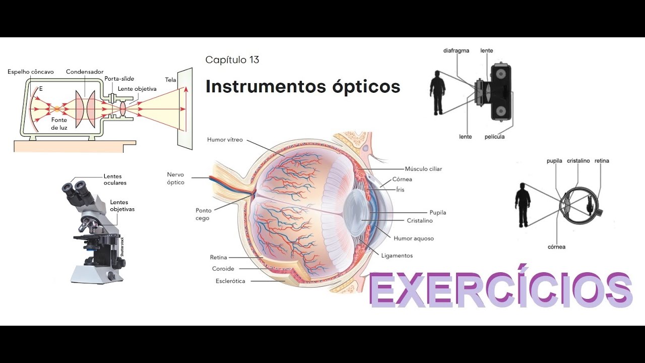 Instrumentos ópticos AP05 Um microscópio é constituído de duas lentes ...