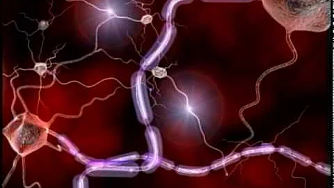 What is Myelin? - National MS Society