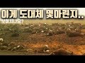 호주 산불 , 홍수 피해 - 이 재해는 정치계의 돈놀이?