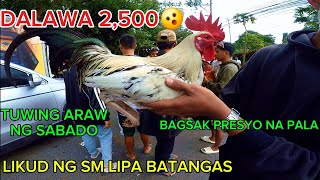 Bintahan Ng Manok Panabong Sa Batangas February 7 2026