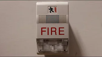 Loud EST Genesis Fire Alarm Sounding for 1-Hour Straight!