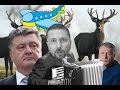 Тысячи флагов Порошенко и юмор о Жириновском