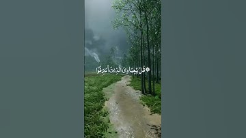 القارئ: بلال دربالي ﴿ ۞ قُلْ يا عِبادِيَ الَّذِينَ أَسْرَفُوا عَلَى أَنفُسِهِمْ ﴾ [ الزمر : 53 ]