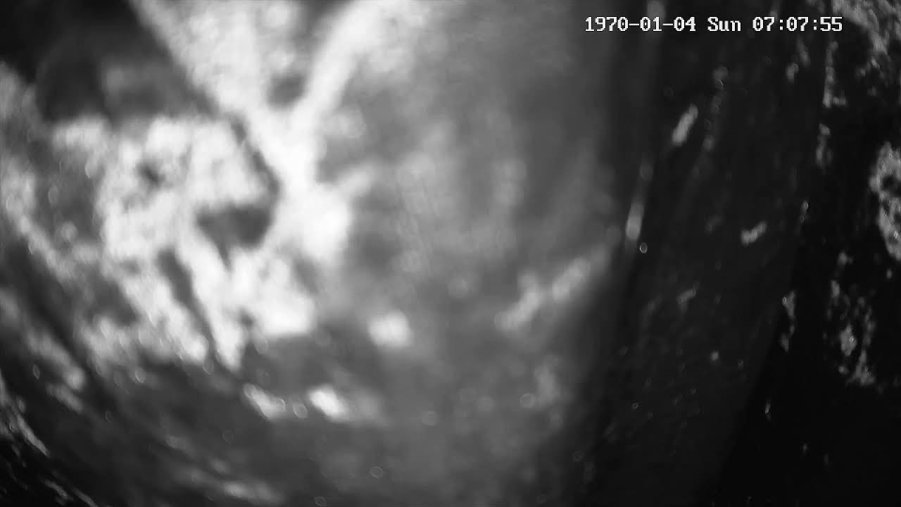 Shri Kali Mata Mandir Kalka Live