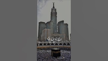 Quran tilawat | القرآن الكريم | عبدالرحمن مسعد