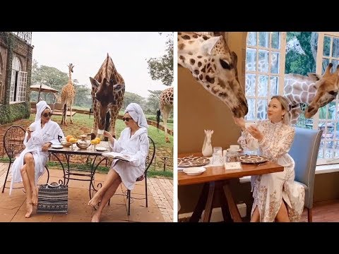 Girl Has Breakfast
