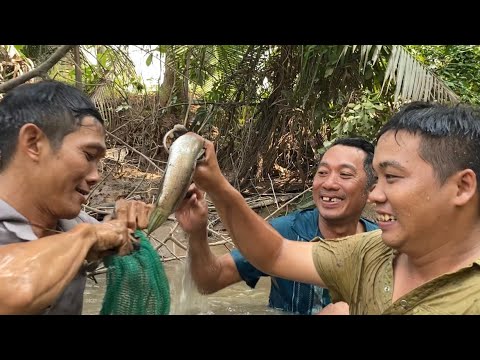 Video Mò Trúng Ổ Cá Đồng Về Nướng Mọi Ngọt Ngất Ngây #41 •... - youtube