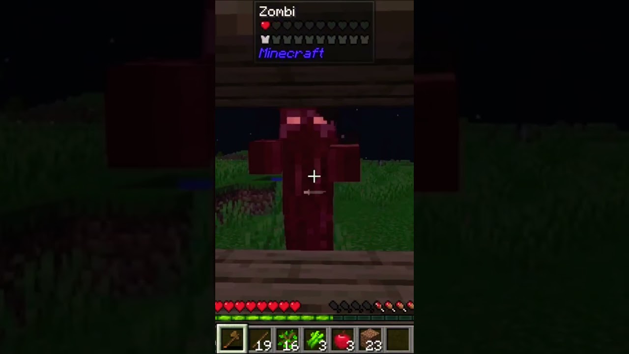 Minecraft- Ma che è lo zombi di Lyon? 😂