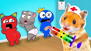 Doctor Hamham Check Up Rainbow Friends and Escape Maze in Real Life | Life Of Pets HamHam