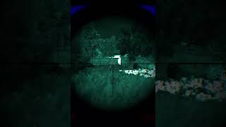 Night Assassin with SVD | Stalker Anomaly Gamma #shorts #stalker2 #stalker #anomaly #stalkeranomaly screenshot 3