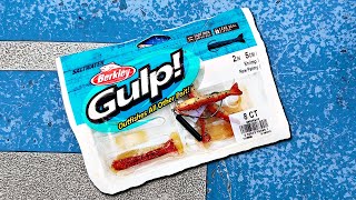 Gulp Shrimp on the Jika Rig! - San Diego Fishing by Bearz G. 4,989 views 1 year ago 22 minutes
