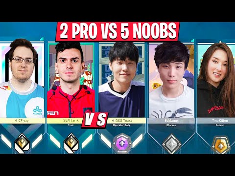 SEN Tarik & DSG YAY Vs DGS Toast Sykkuno HasanAbi TinaKitten Lily 